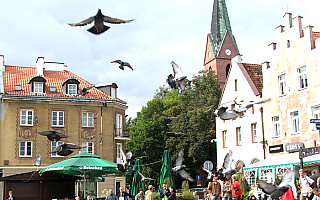 Czy chcesz parku kulturowego na Starym Mieście w Olsztynie?